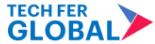 Techfer Global